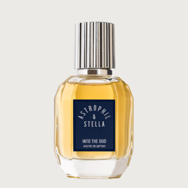 ASTROPHIL E STELLA - INTO THE OUD