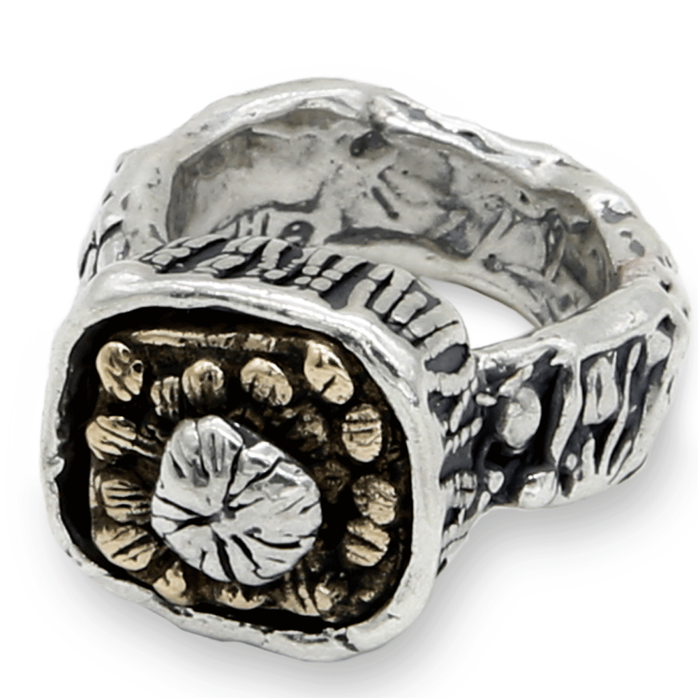 MANDILE - Anello in argento 925 e bronzo