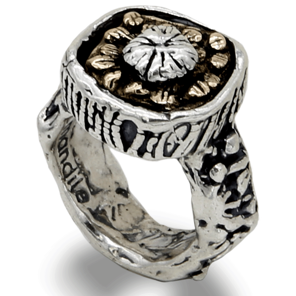 MANDILE - Anello in argento 925 e bronzo