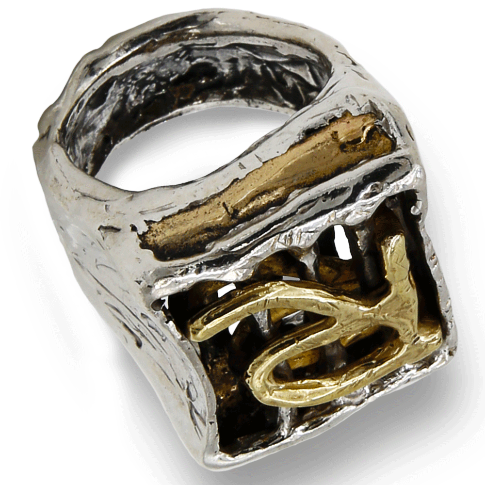 MANDILE - Anello chevalier unisex in argento 925 lettera in bronzo semovibile