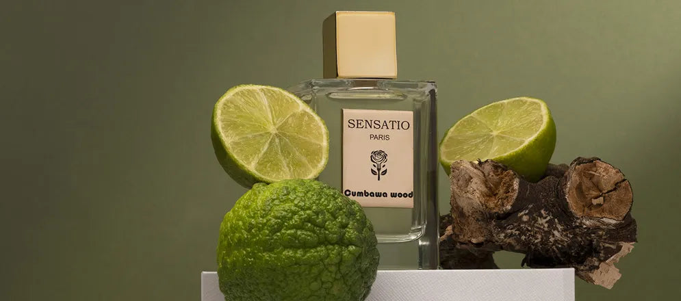SENSATIO PARIS