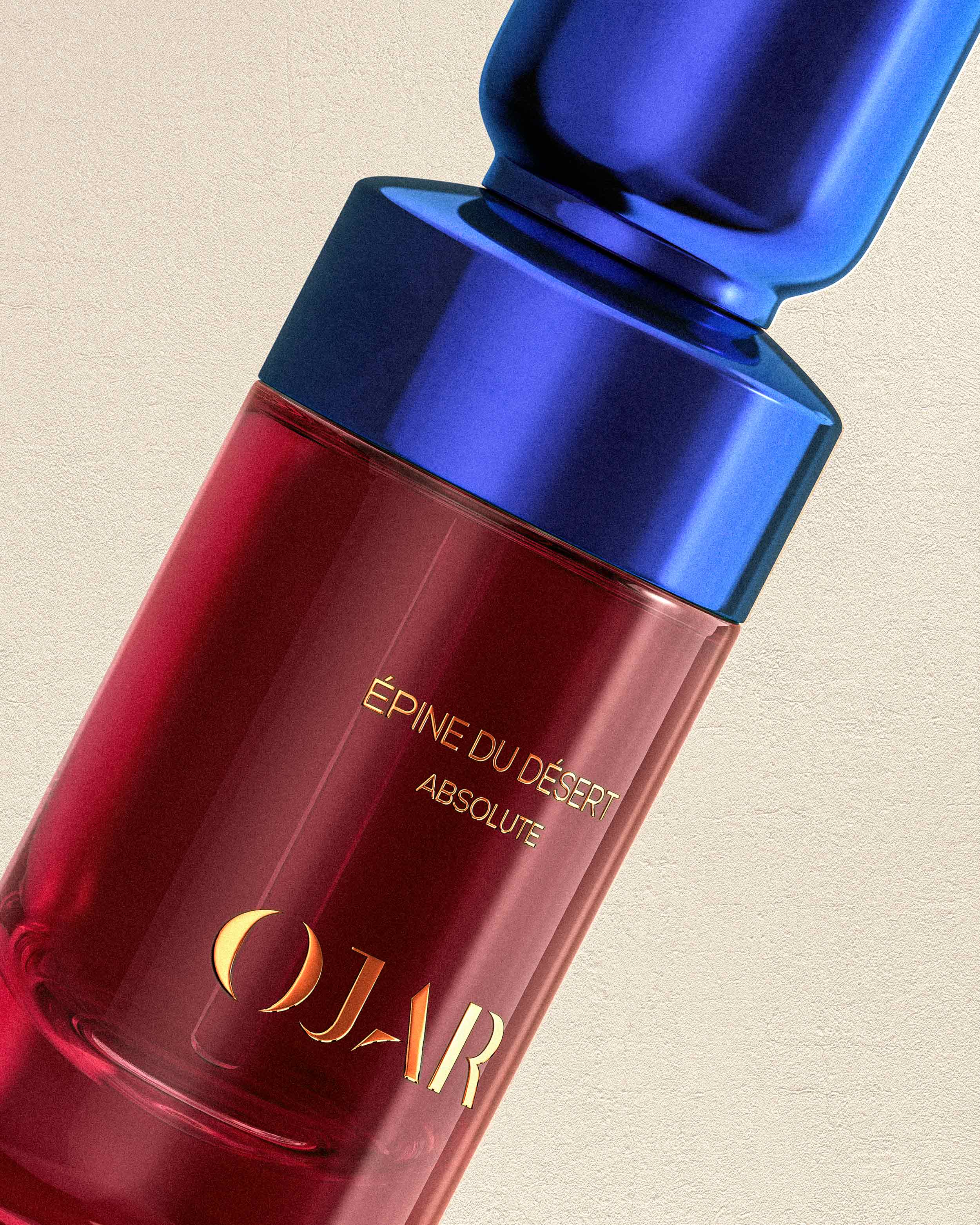 OJAR - ABSOLUTE: EPINE DU DESERT