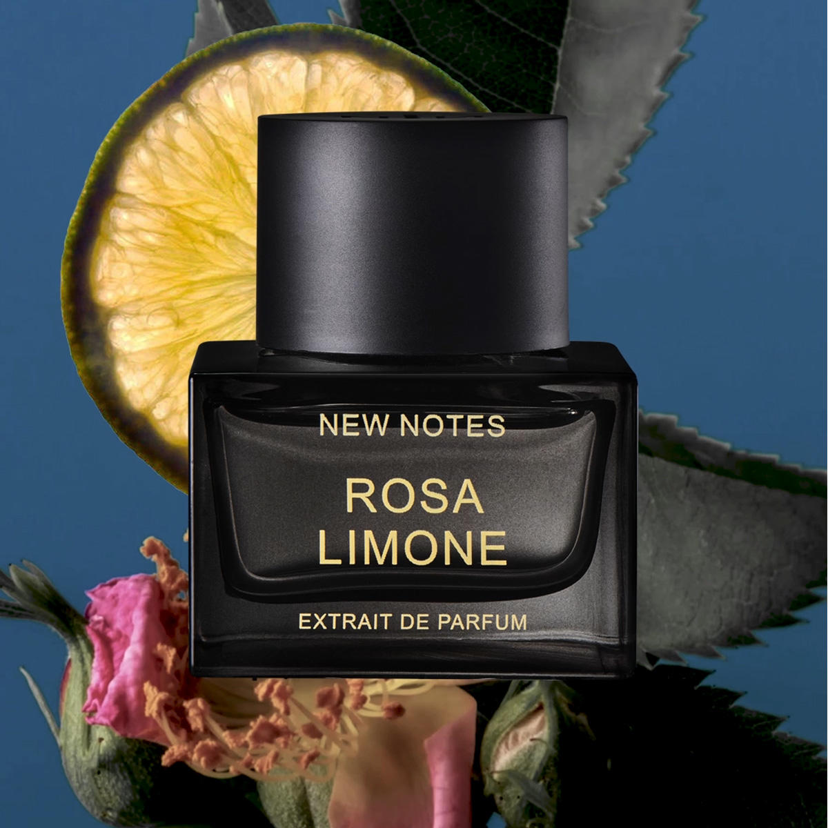 NEW NOTES - ROSA LIMONE