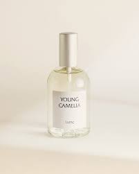 Lume -YOUNG CAMELIA-