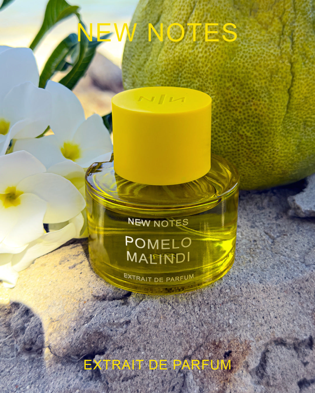 new notes -POMELO MALINDI